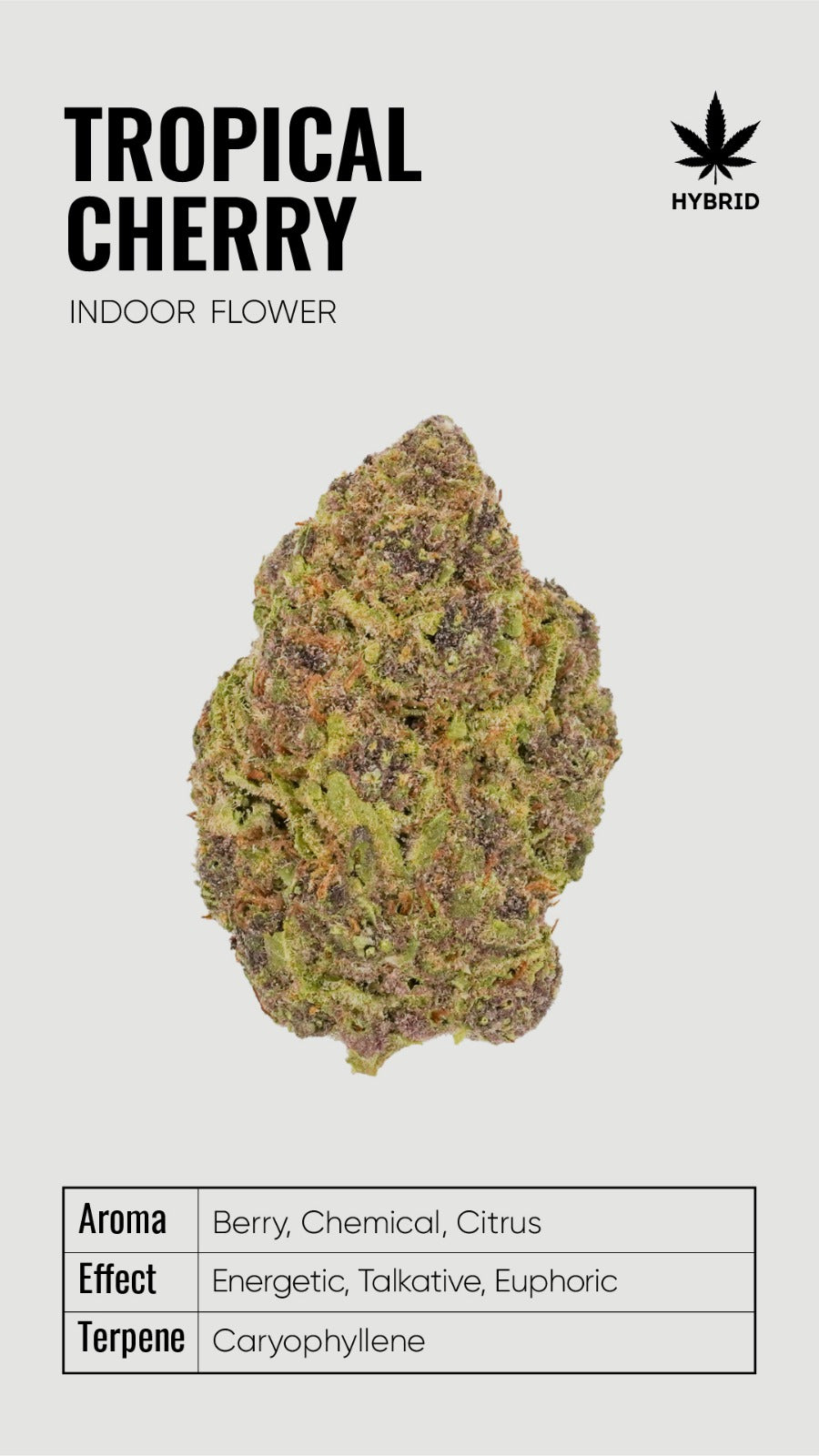 BULK THCA Flower PREMIUM Light Assist