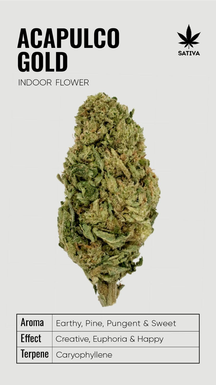 BULK THCA Flower PREMIUM Light Assist