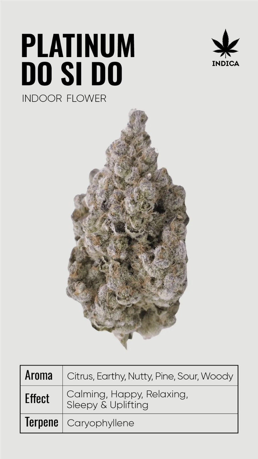 BULK THCA Flower PREMIUM Light Assist