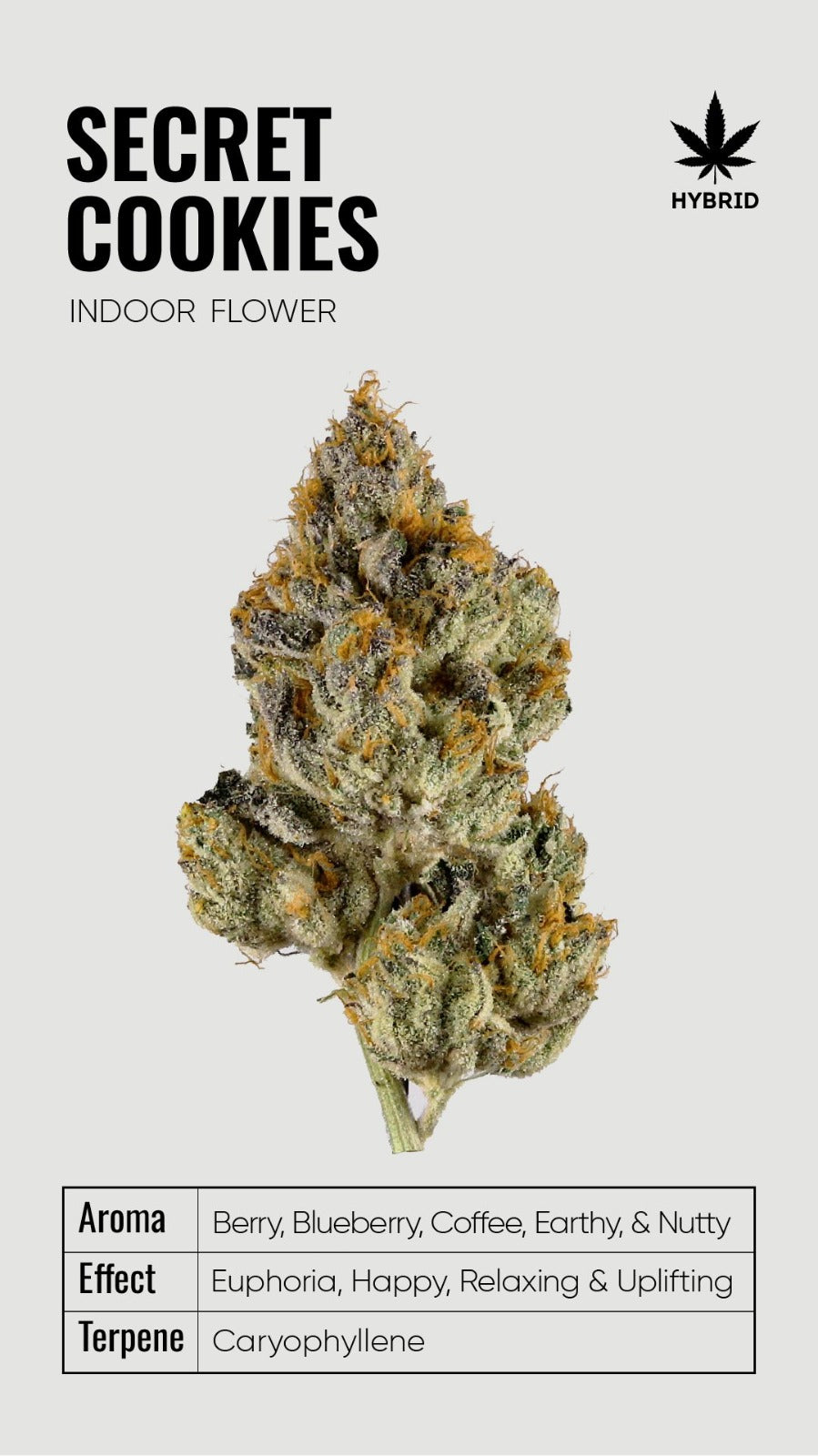 BULK THCA Flower PREMIUM Light Assist