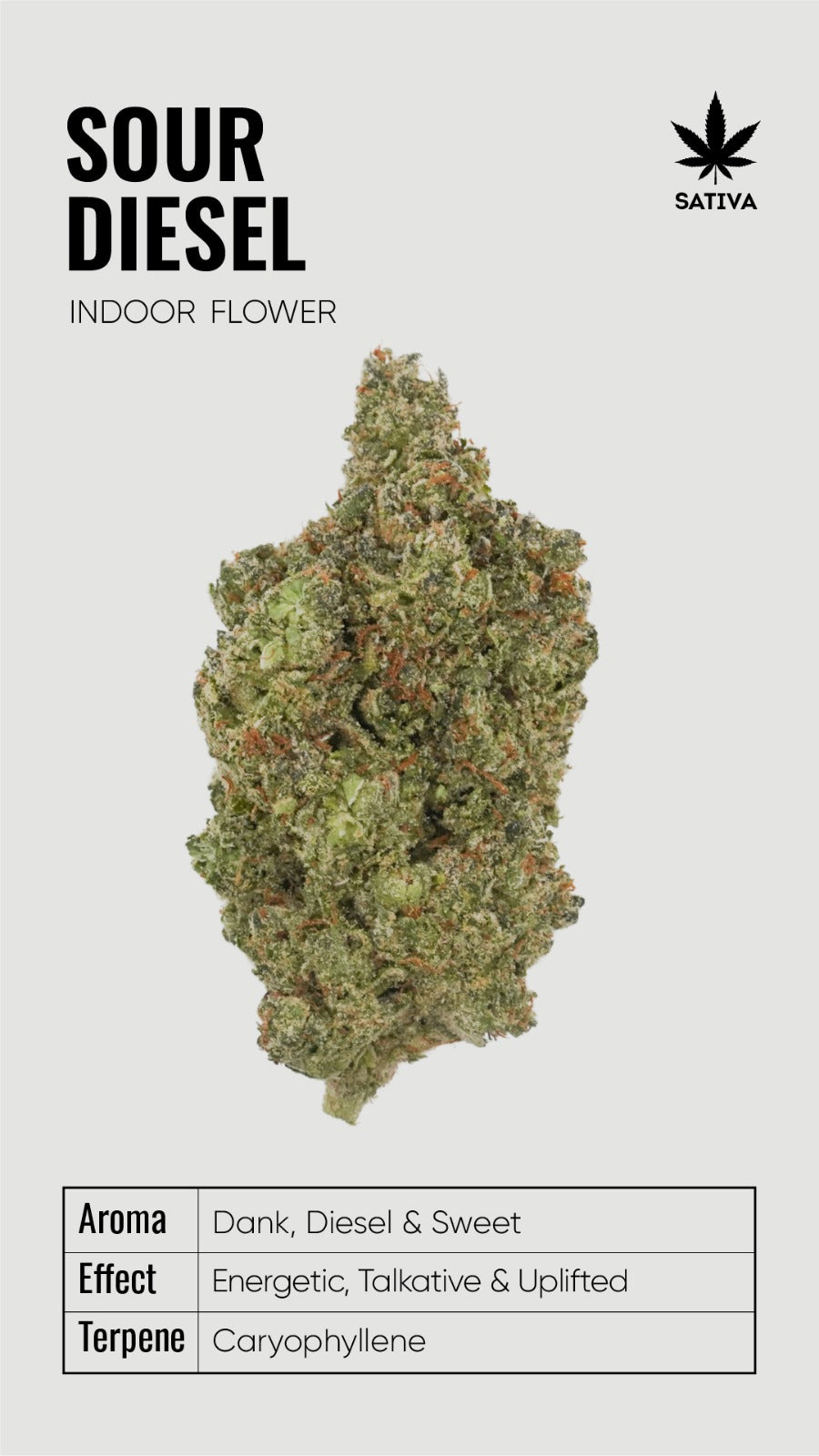 BULK THCA Flower PREMIUM Light Assist