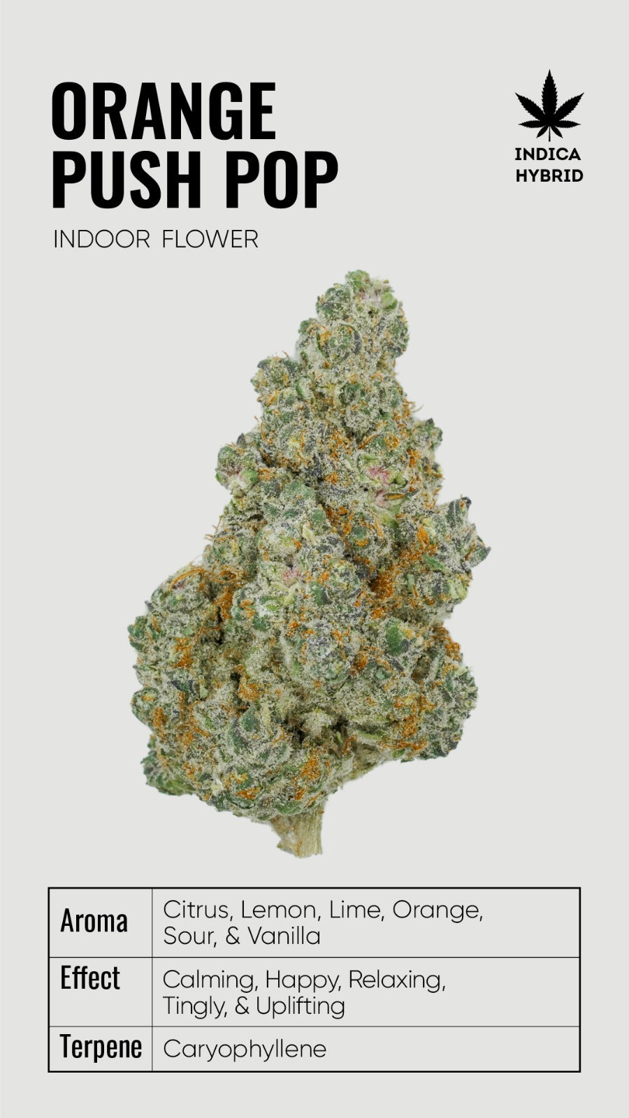 BULK THCA Flower PREMIUM Light Assist