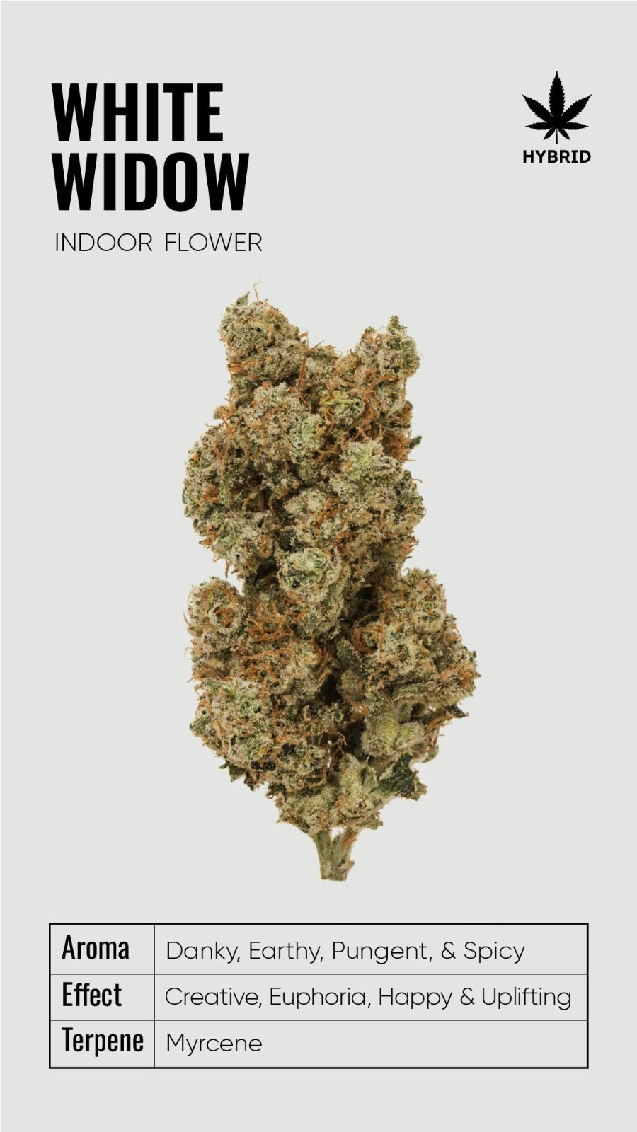 BULK THCA Flower PREMIUM Light Assist